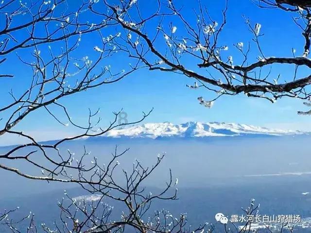 豆娃勇士